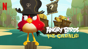 Angry Birds: Yaz Çılgınlığı (2022)